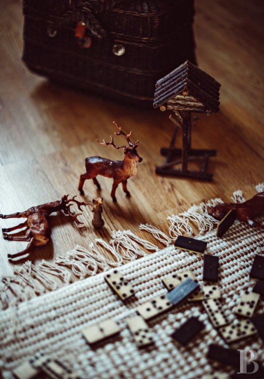 In Touraine, an hour from Paris by train, a country house available for year-round rental, with access to the services and facilities of a vast estate - photo  n°14